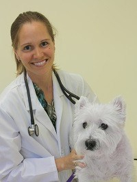 Melissa Eisenschenk Veterinary Dermatologist