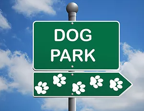 Dog Park 2