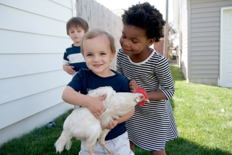 cute kids holding chicken