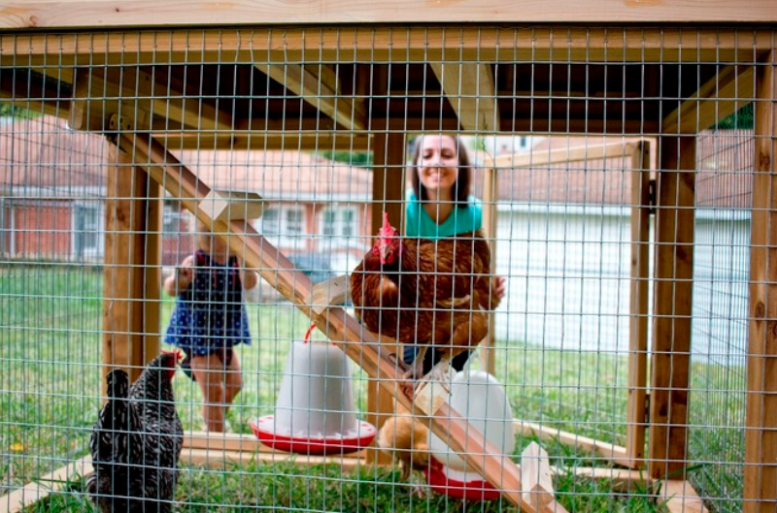 family with backyard coop