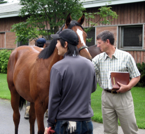 performance horse nutrition 