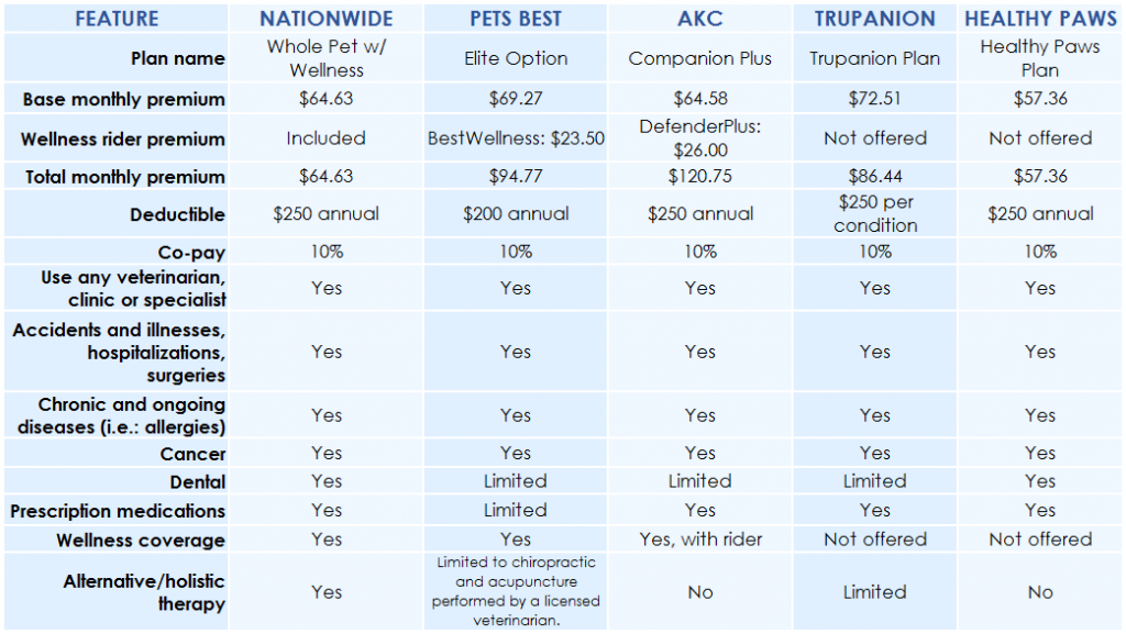 Rest assured! All you need to know about Pet Insurance Petworks