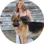 Hiring A Dog Trainer