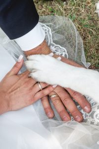 bridge groom and dog paw