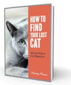 How to Find Your Lost Cat