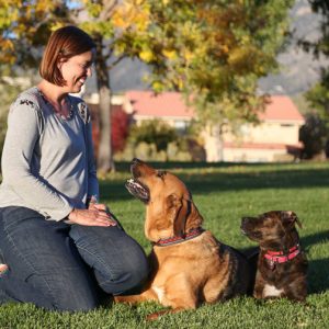 Julie Hart - choosing a rescue dog