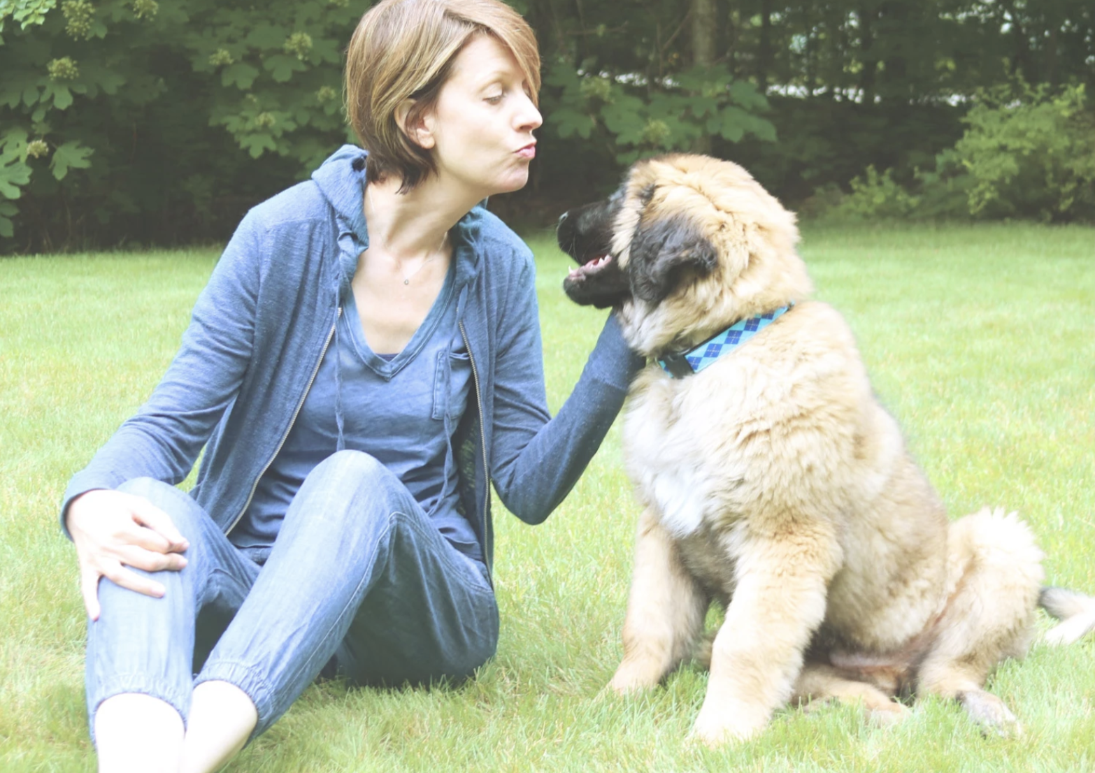Julie Ulrich Animal Communicator