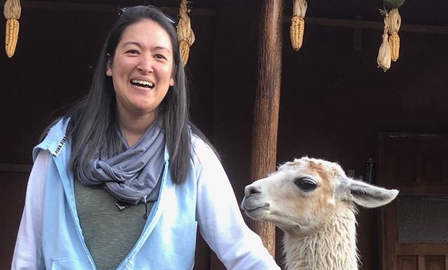 Animal Reiki Care