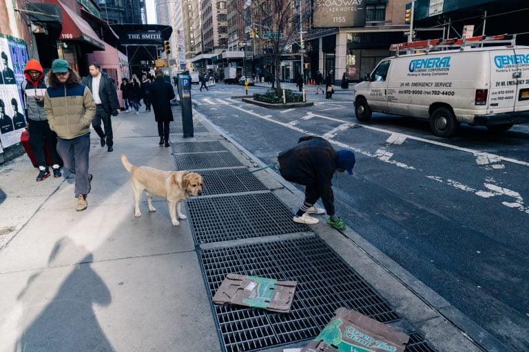 dog poop pick up service