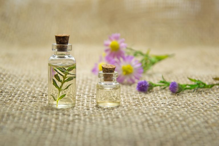 The Essence of Pet Aromatherapy
