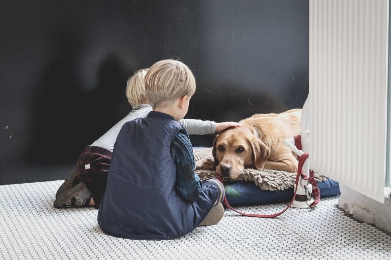 Teaching Kids Responsible Pet Care