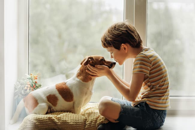 children pet loss grief