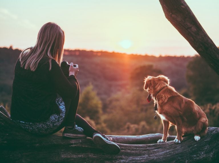 Saying Goodbye to Pets During the Holidays