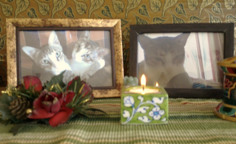 Healing Pet Loss
