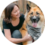 Reactive Dogs