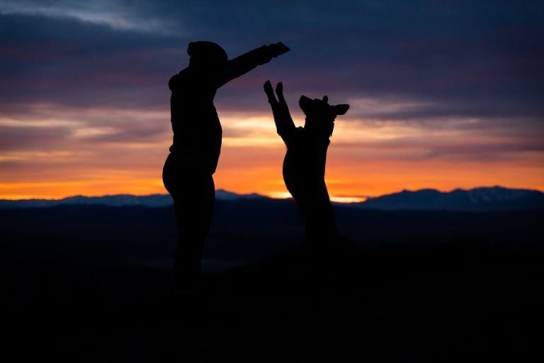 Pet Loss Healing