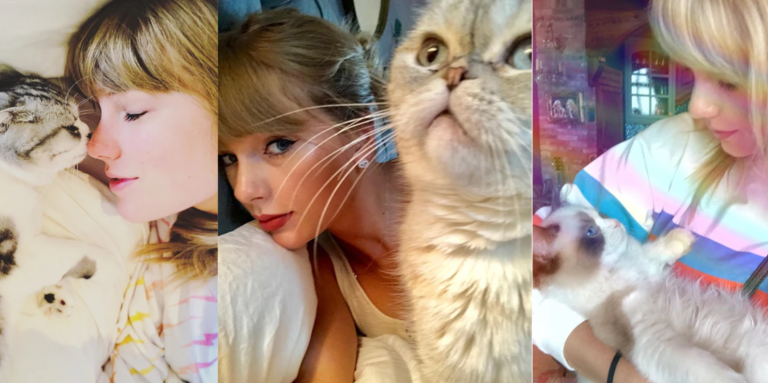 Childless Cat Lady Taylor Swift