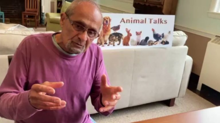 pet loss bereavement