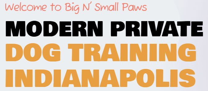 Positive Dog Training