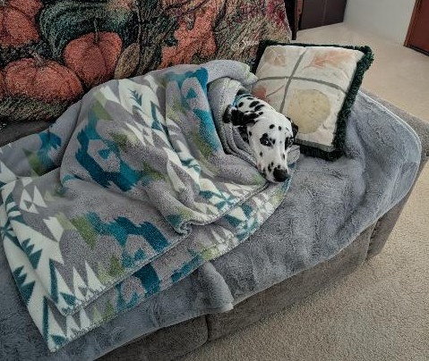 Medic wrapped in his blanket