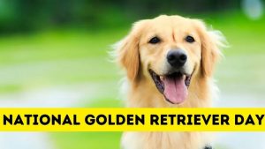 National Golden Retriever Day - Petworks And Goldens Celebrate