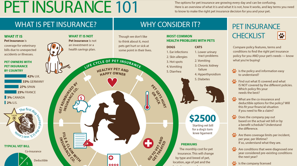 Pet Insurance Comparison