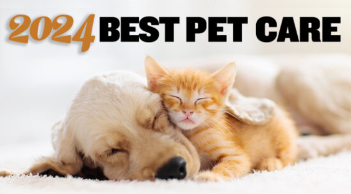 Petworks Winner - Best Pet Care 2024