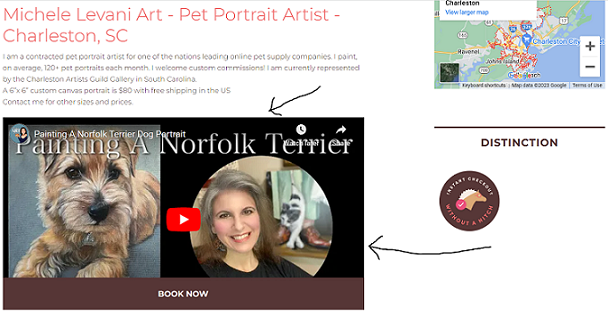 Video embed on a pet pro listing page