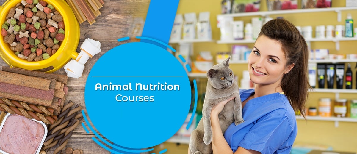 Animal Nutrition Courses