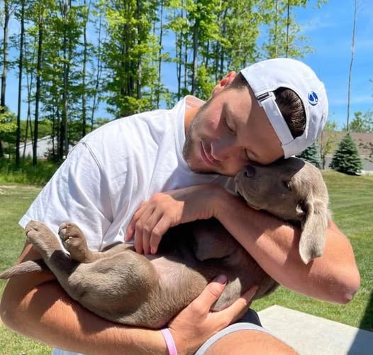 Josh Allen's Dog Sky - Devotion Personified - Petworks