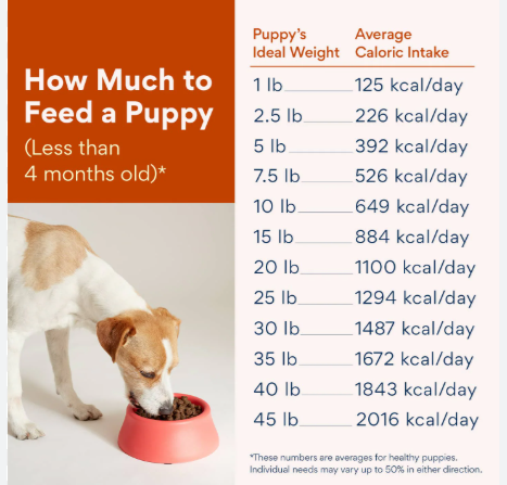 Puppies Food Chart