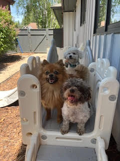 Winston and friends