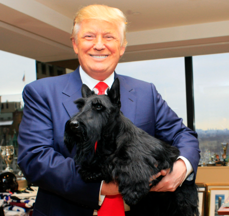 Pet Care Industry and Tariffs