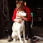 Pet Hospice Asheville NC