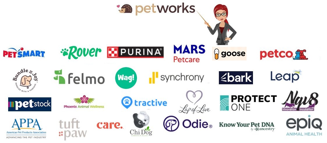 Virtual Pet Care