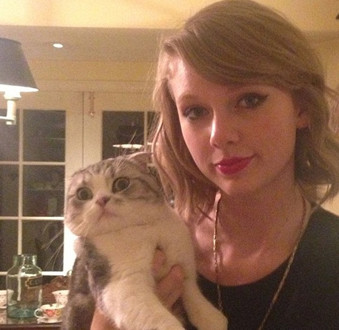 Meet Taylor Swift Cat Meredith