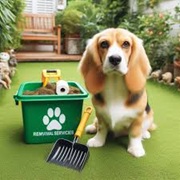 dog poop clean up services