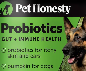 Dog Gut Health
