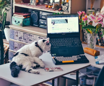 Free Vet Consult Online