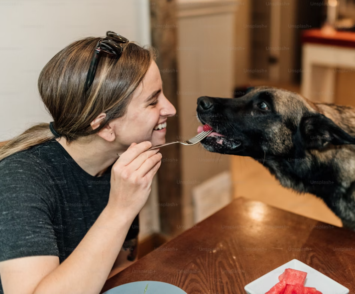 German Shepherd Diet