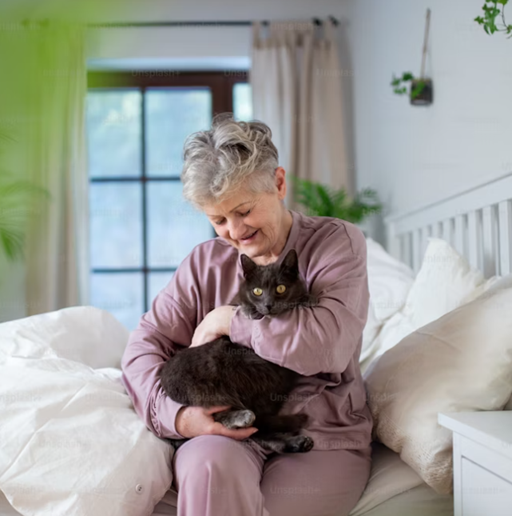 Pet Hospice Care At Home