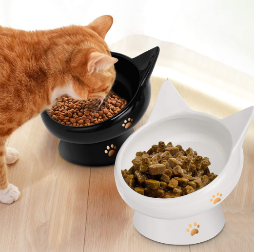 cat diets