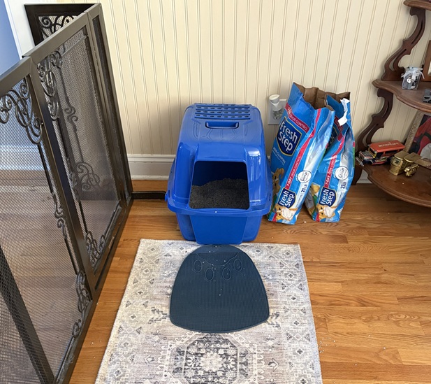 litter box issues