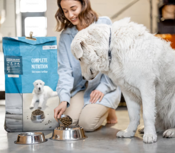 best pet food based on health