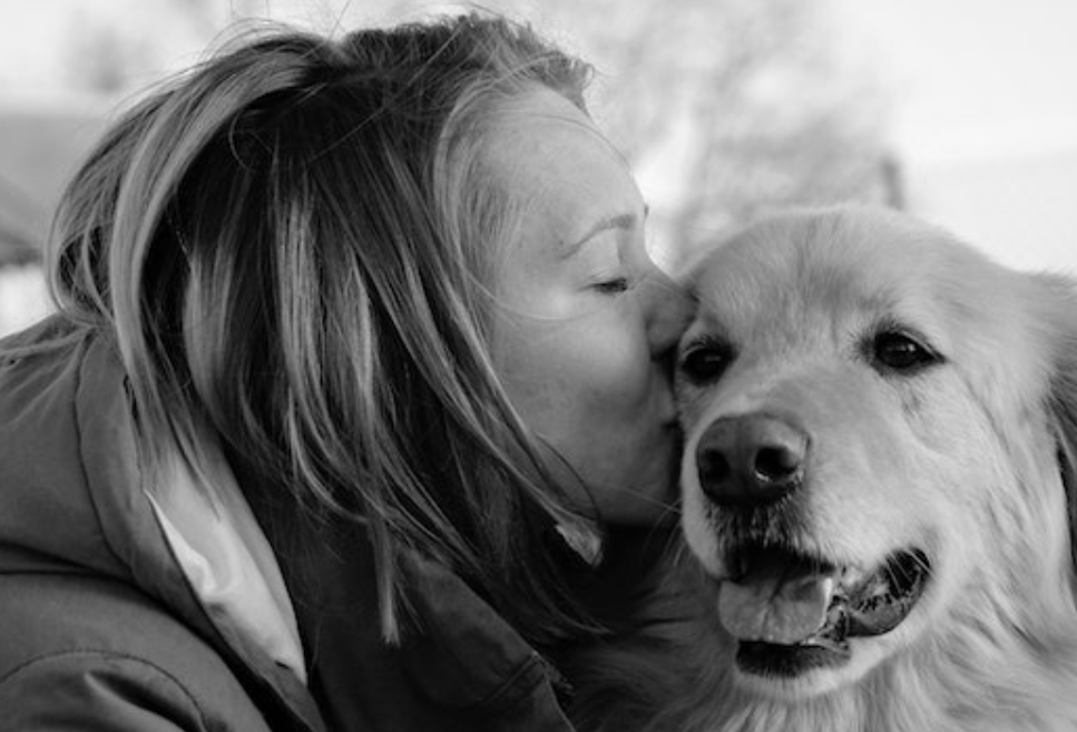ChatGPT and Petworks