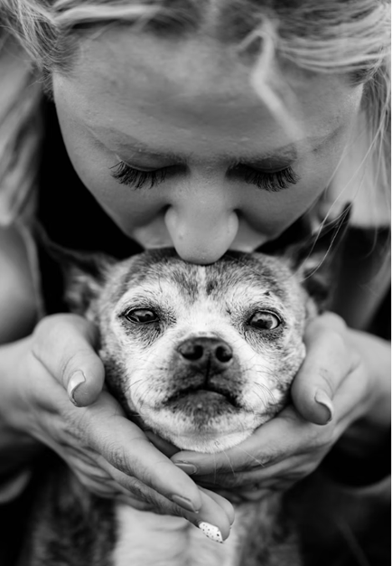 cognitive decline in dogs