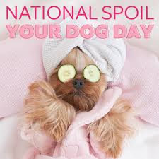 national spoil your dog day