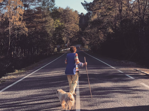 Pet Care in Nashville