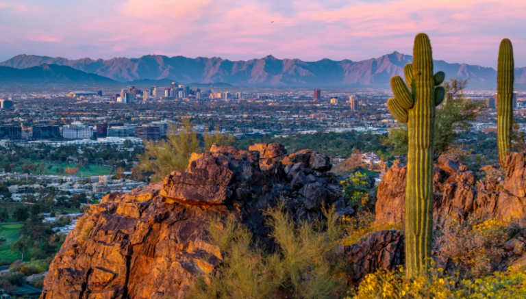 Phoenix Pet-Friendly