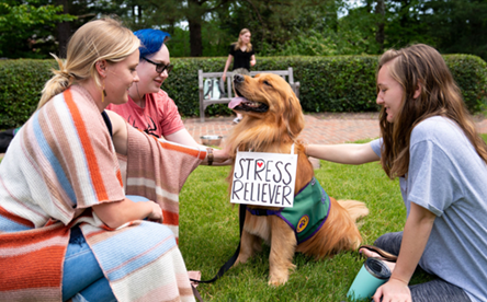 Richmond VA pet care
